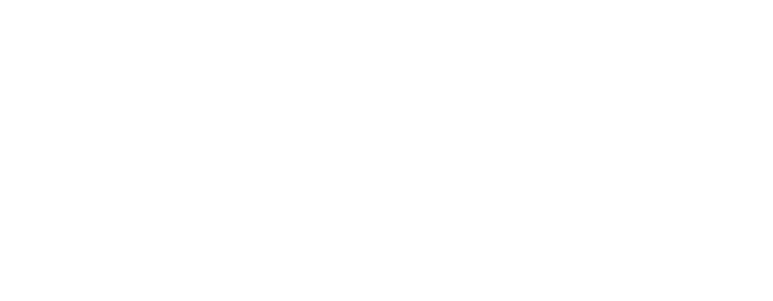 Burton white logo